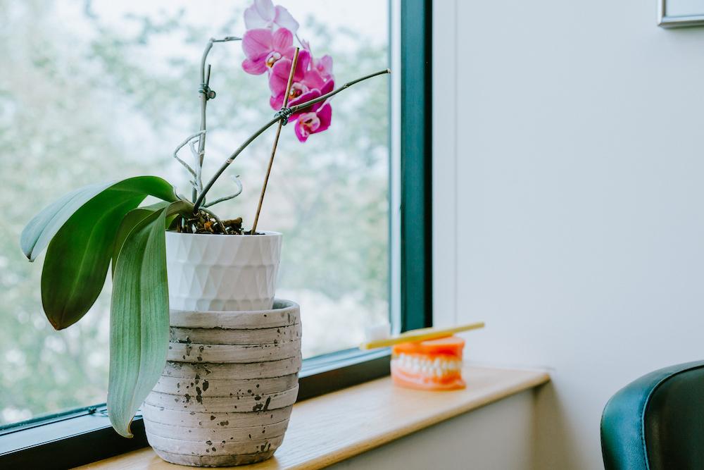 flowers in dental exam room at pineview dental