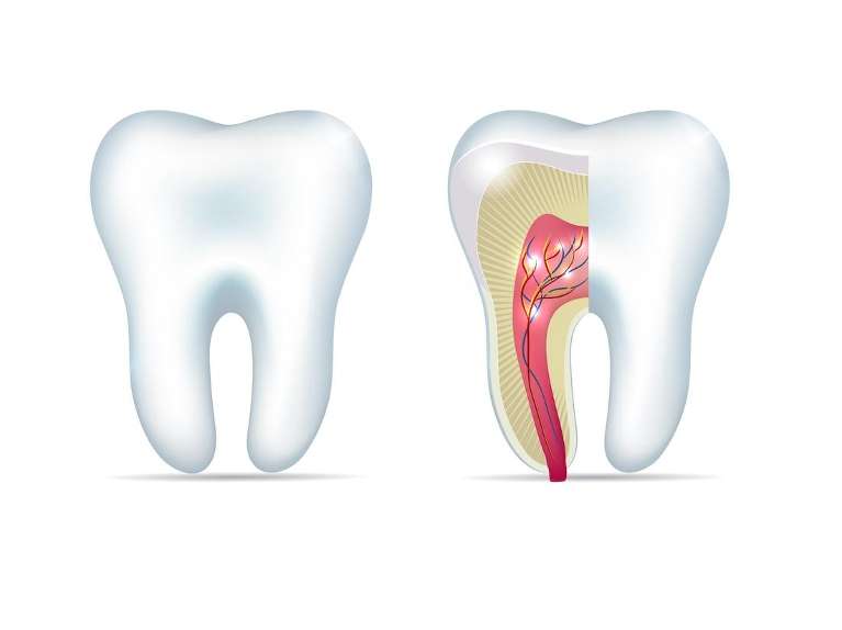 Rotary Endodontics technology at Pineview Dental in Columbia, MD